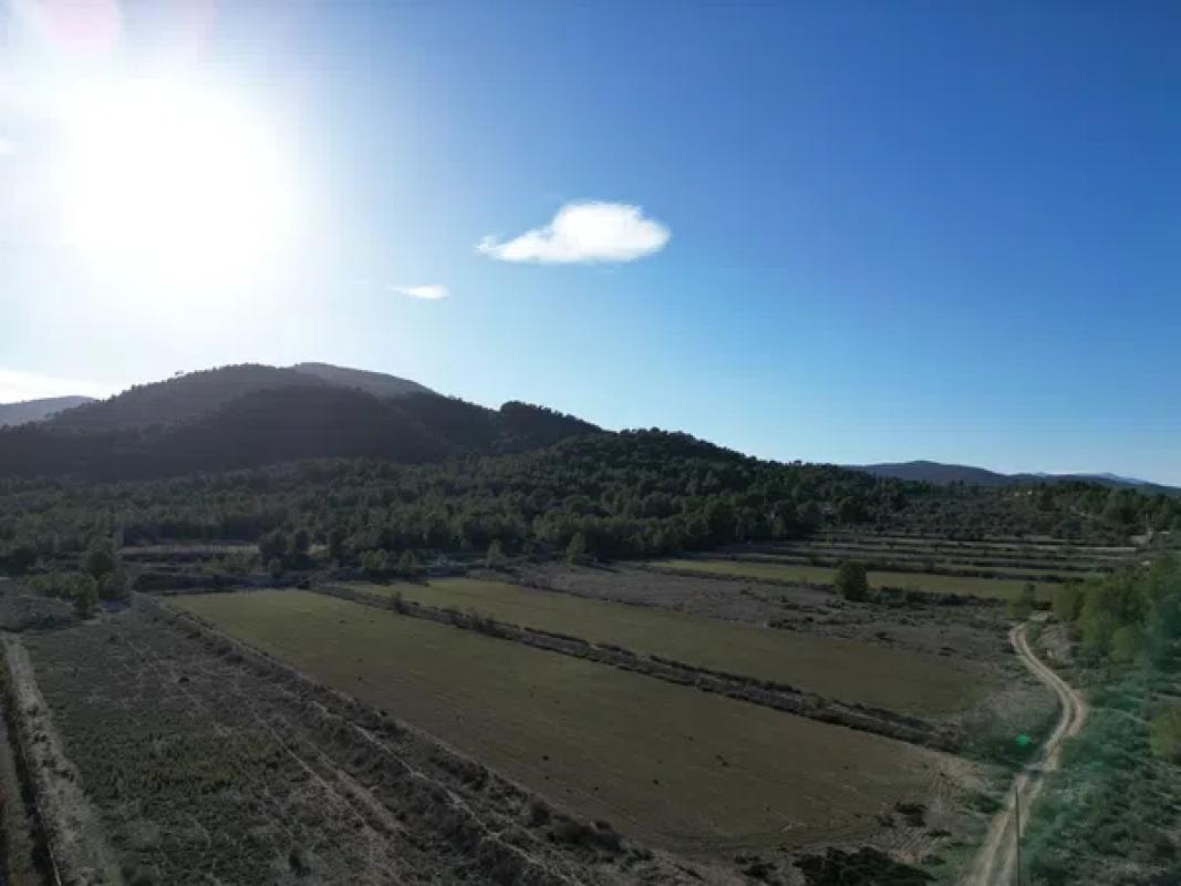 Terreno en venta en Monovar, Alicante photo 2