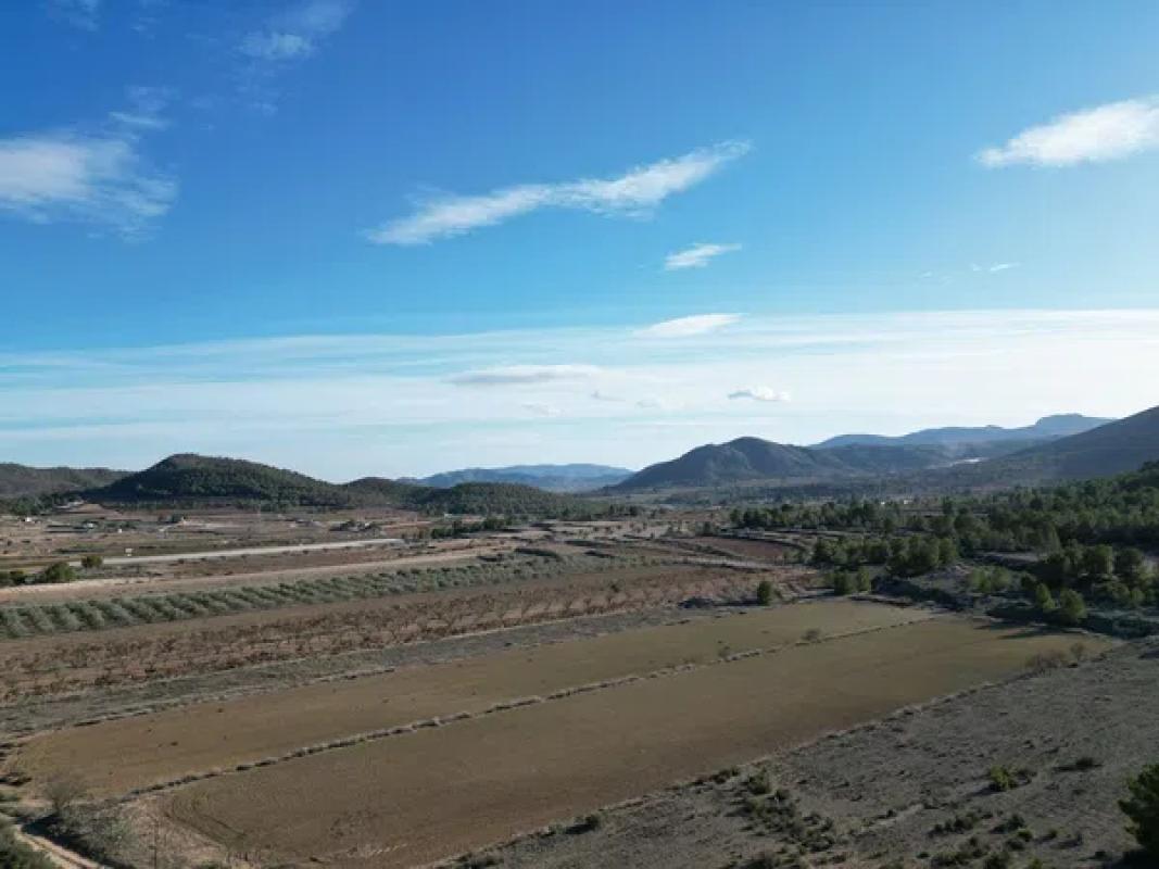 Terreno en venta en Monovar, Alicante photo 3