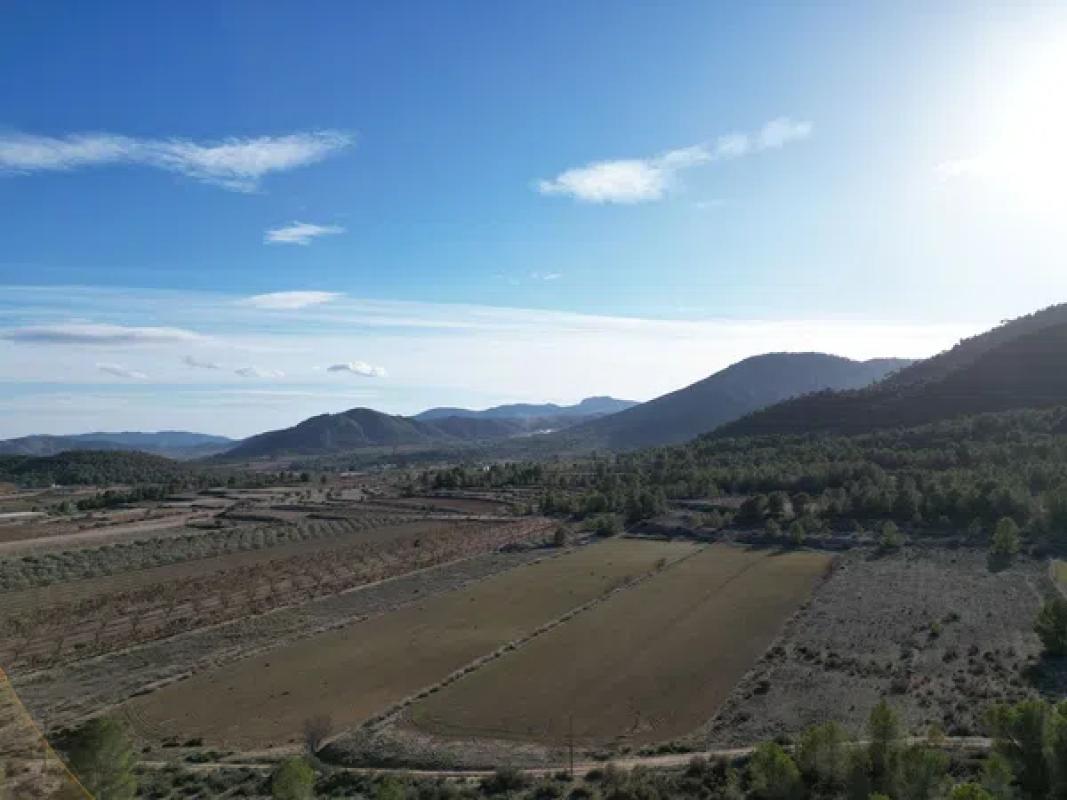 Terreno en venta en Monovar, Alicante photo 4