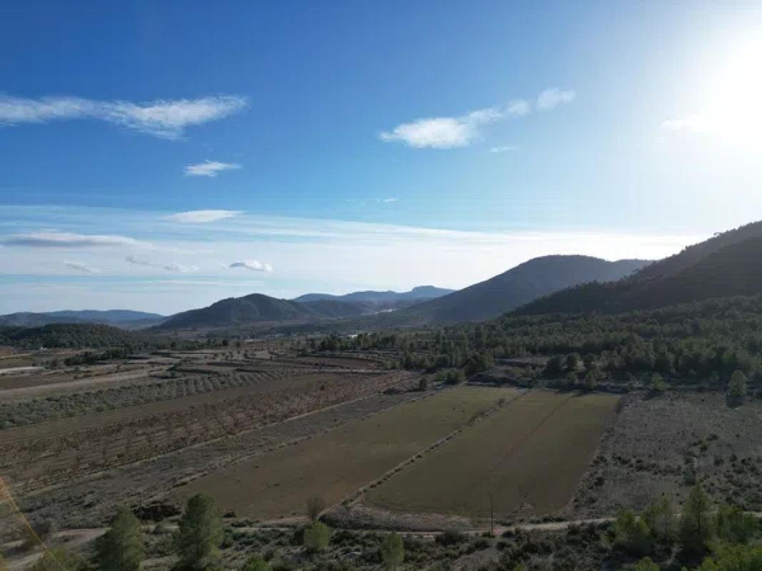 Terreno en venta en Monovar, Alicante photo 5