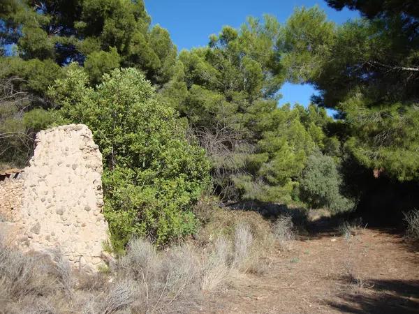 Terreno en partida Segarra s/n sn photo 1