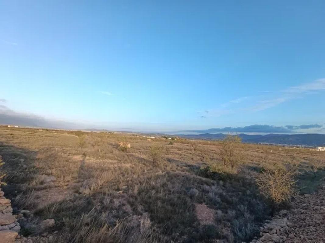 Terreno en venta en Pinoso, Alicante photo 1