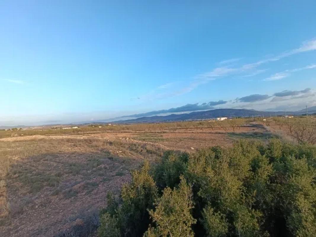 Terreno en venta en Pinoso, Alicante photo 4