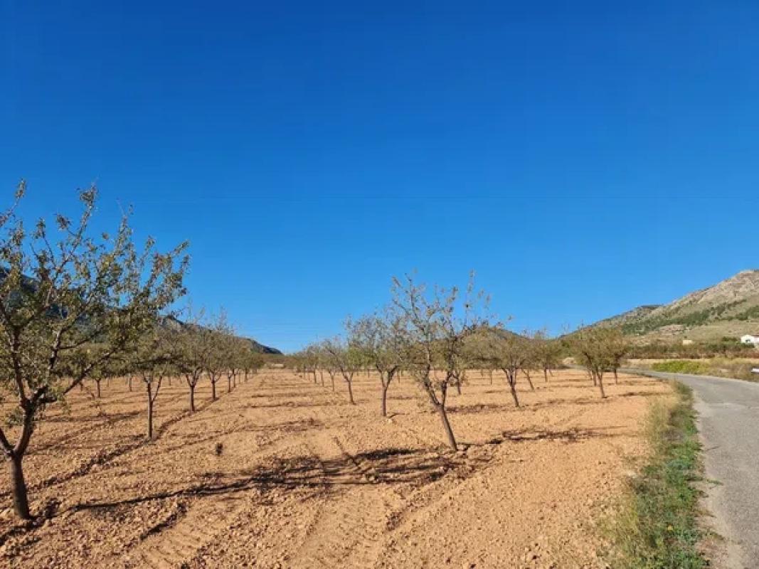Terreno en venta en La Romana, Alicante photo 2