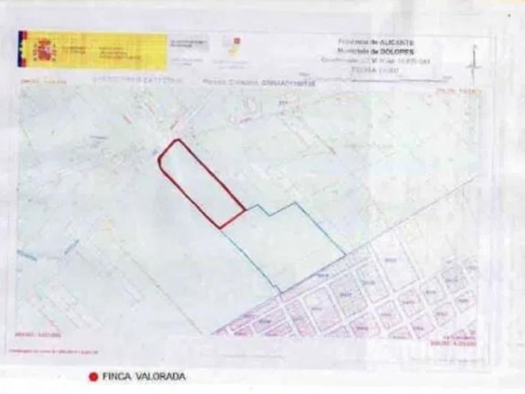 Land for sale in Dolores, Alicante photo 3