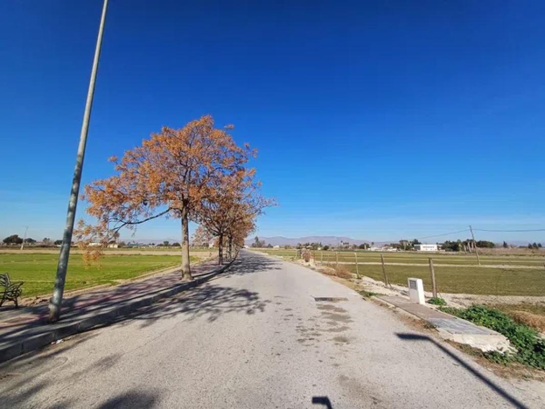 Land for sale in Dolores, Alicante photo 4