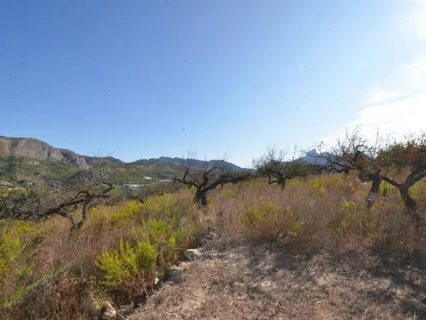 Terreno en Callosa d'En Sarria thumbnail 1