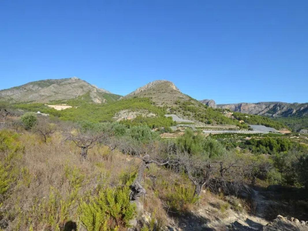 Działka na sprzedaż w Callosa d'En Sarria, Alicante photo 3