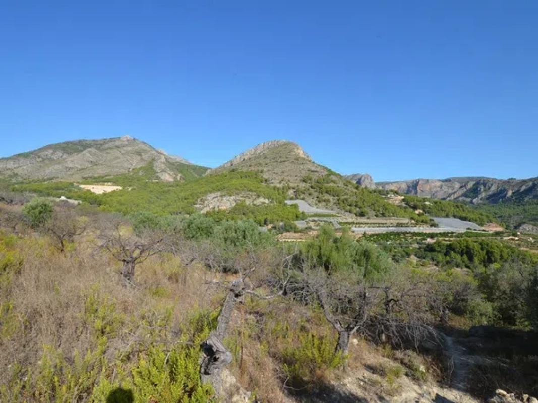 Działka na sprzedaż w Callosa d'En Sarria, Alicante photo 5