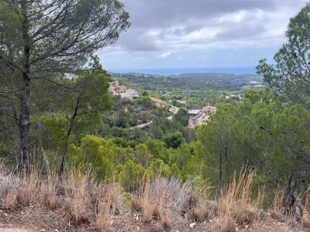 Land for sale in Callosa d'En Sarria, Alicante photo 2