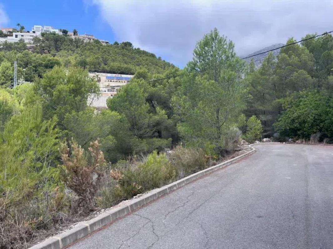 Land for sale in Callosa d'En Sarria, Alicante photo 3