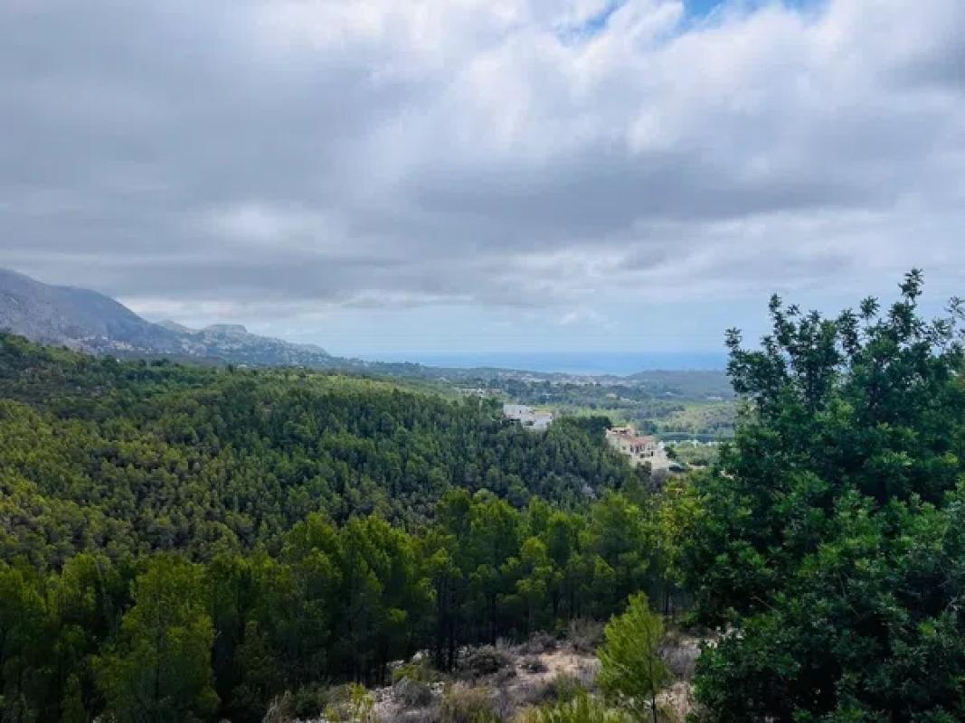 Land for sale in Callosa d'En Sarria, Alicante photo 5