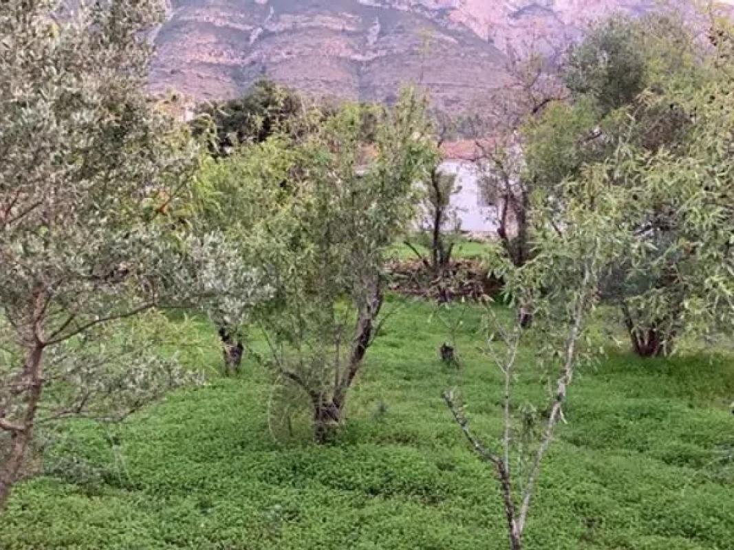 Terreno en venta en Denia, Alicante photo 2