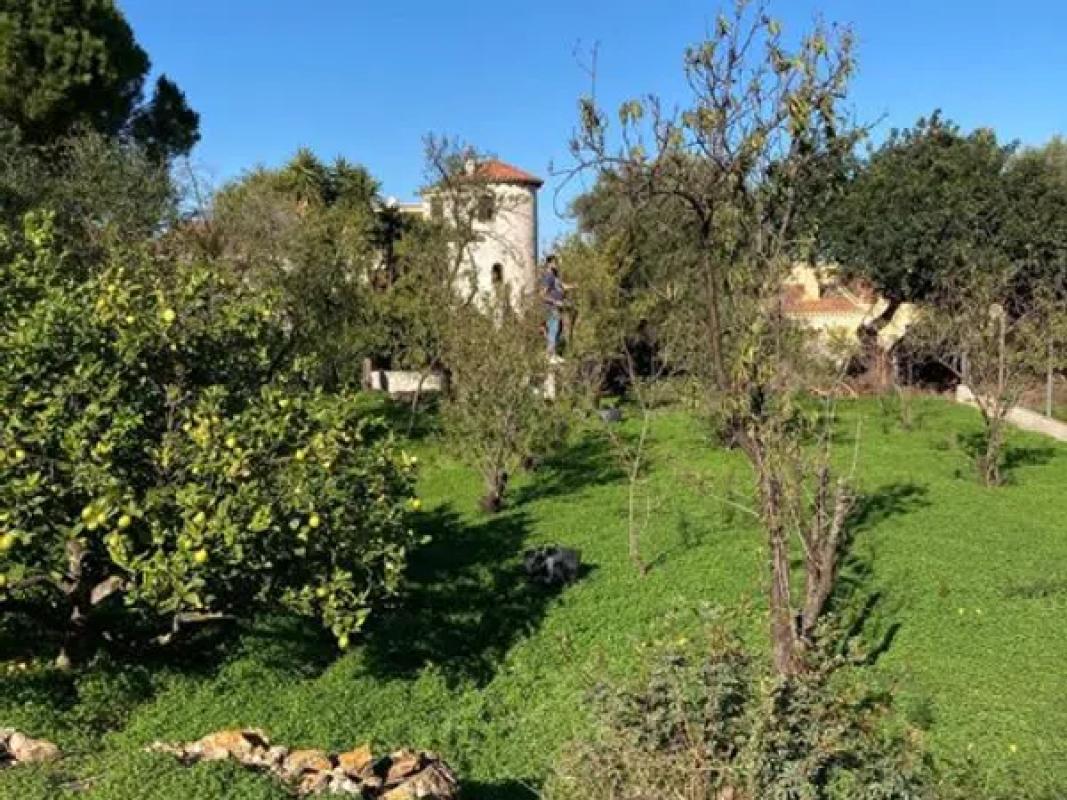 Terreno en venta en Denia, Alicante photo 3