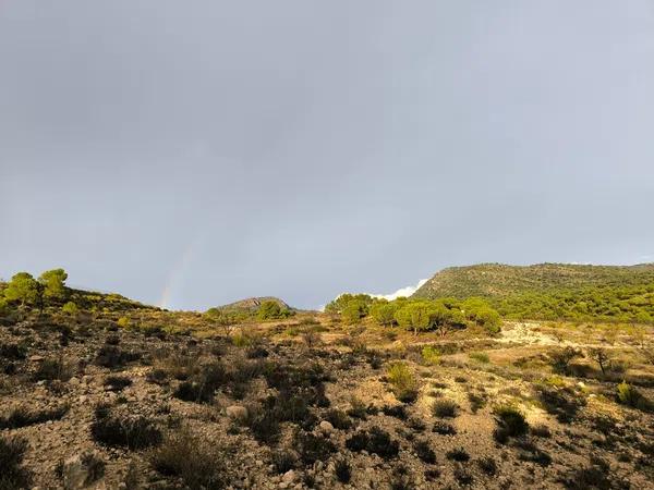 Terreno en camino de las Conejeras, 23 Poligonoparcela photo 1