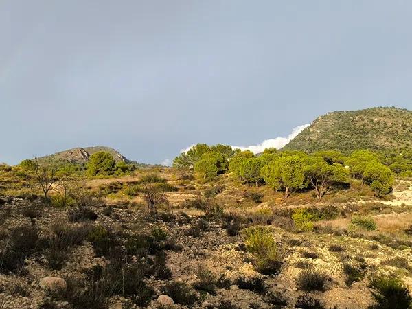 Terreno en camino de las Conejeras, 23 Poligonoparcela photo 4