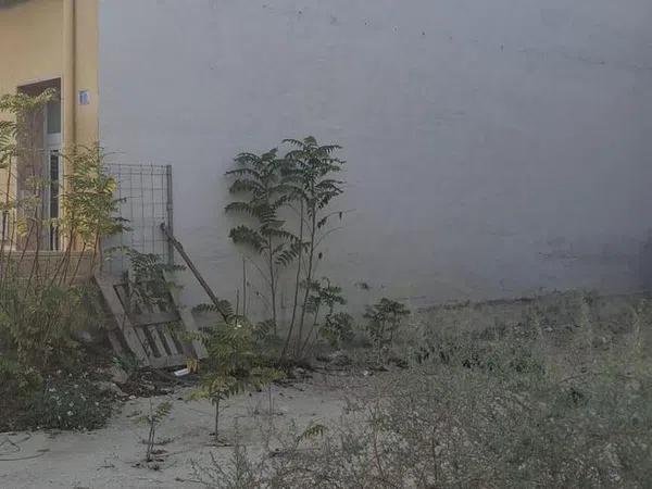 Terreno en El Secanet - Hacienda del Sol photo 4