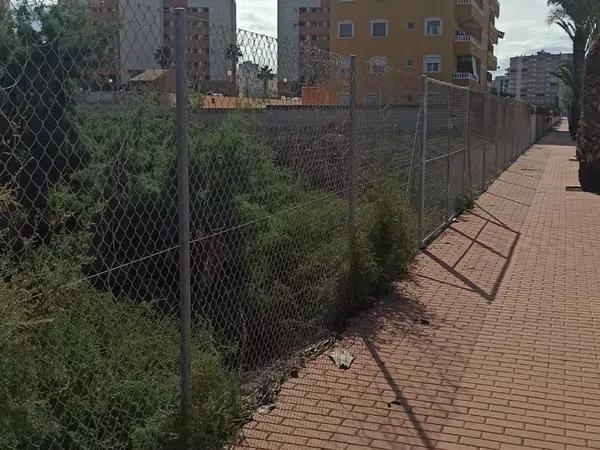 Terreno en calle Rojaleros Ausentes photo 1
