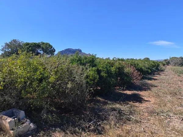Terreno en Els Poblets photo 1