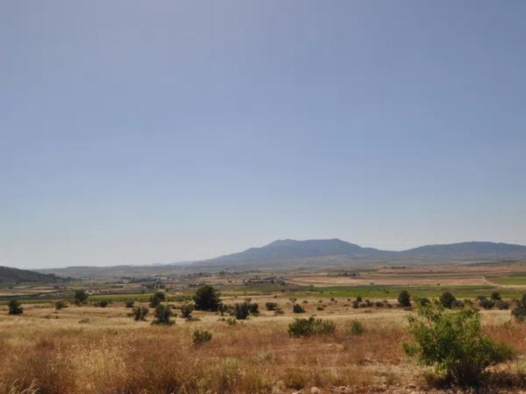 Terreno en venta en Pinoso, Alicante photo 1