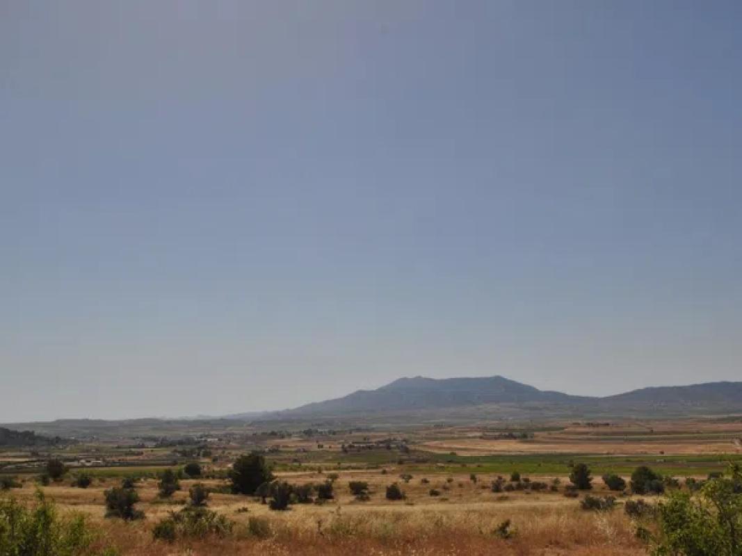 Terreno en venta en Pinoso, Alicante photo 3