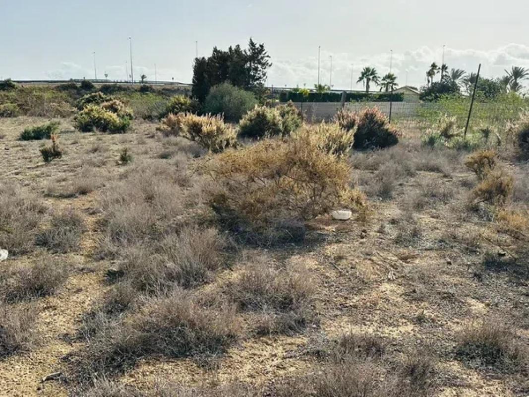 Terreno en venta en Elche / Elx, Alicante photo 5