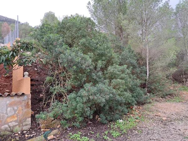 Terreno en calle Core, 11 photo 1