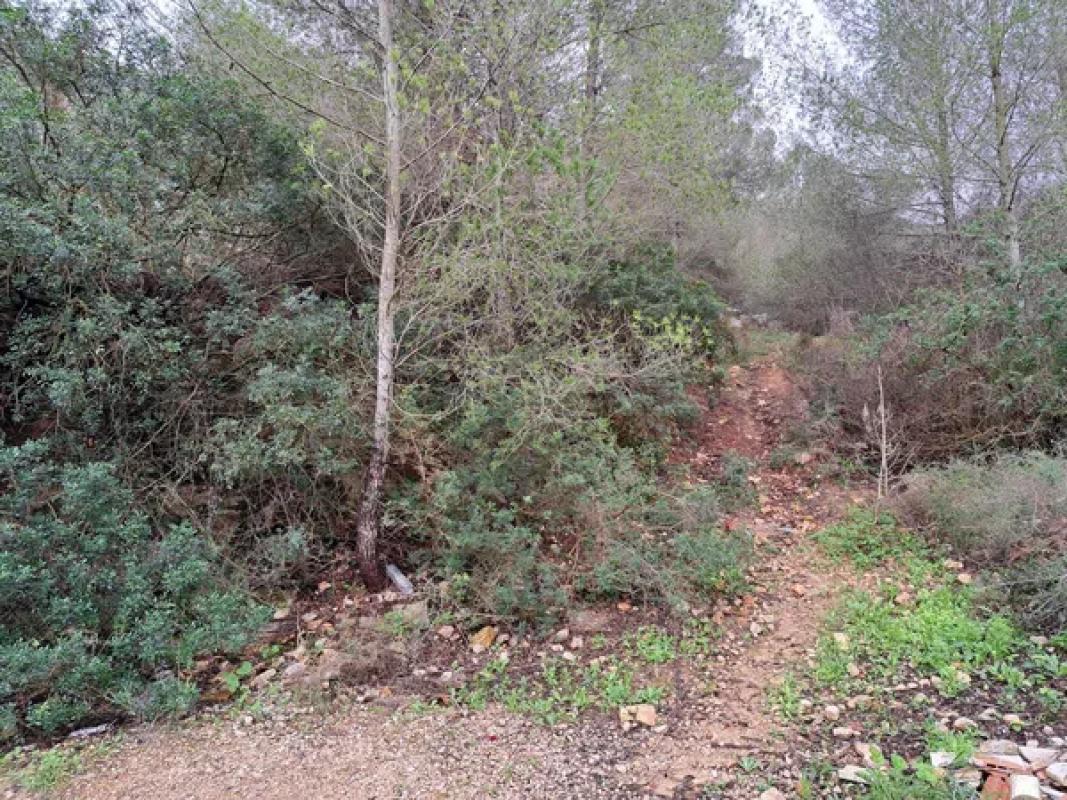 Terreno en venta en Denia, Alicante photo 2