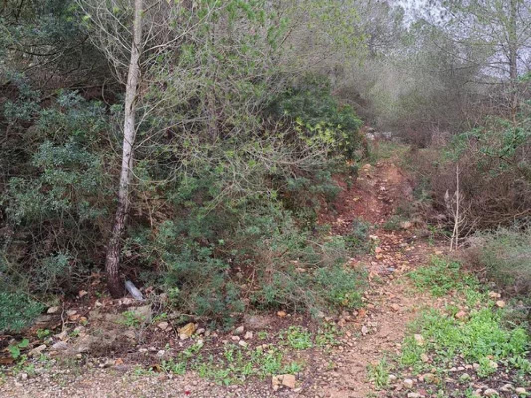 Terreno en venta en Denia, Alicante photo 4