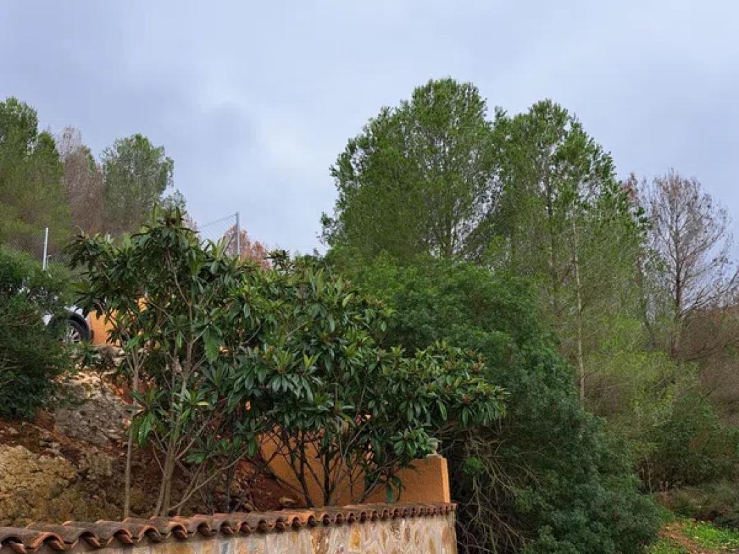 Terreno en venta en Denia, Alicante photo 5
