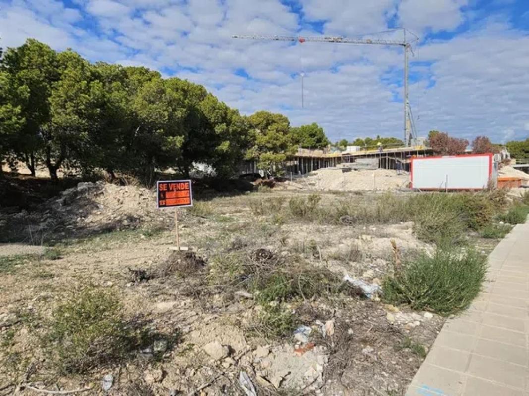 Land for sale in Mutxamel, Alicante photo 5
