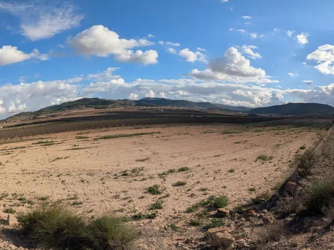 Land for sale in Pinoso, Alicante photo 1