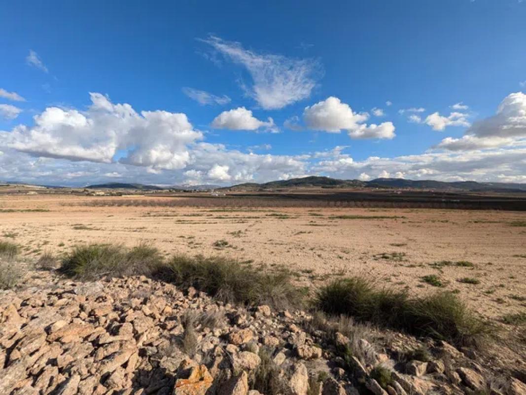 Land for sale in Pinoso, Alicante photo 2