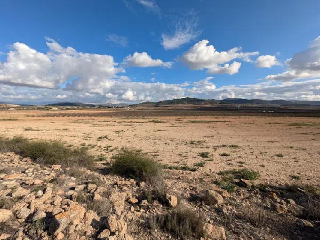 Land for sale in Pinoso, Alicante photo 3