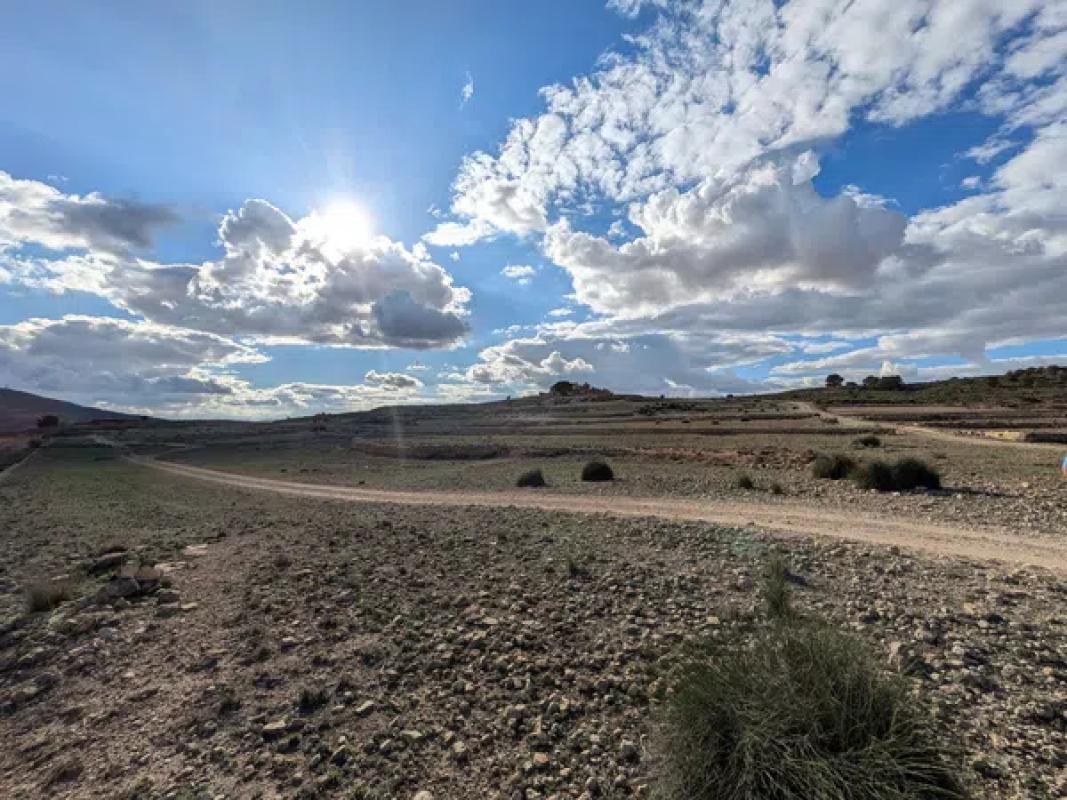 Land for sale in Pinoso, Alicante photo 4