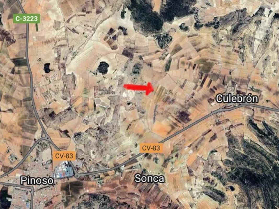 Land for sale in Pinoso, Alicante photo 5