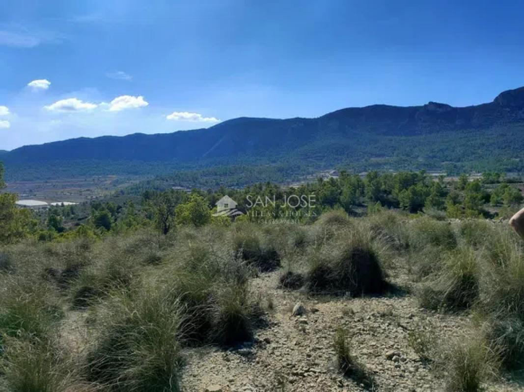 Terreno en venta en La Romana, Alicante photo 1