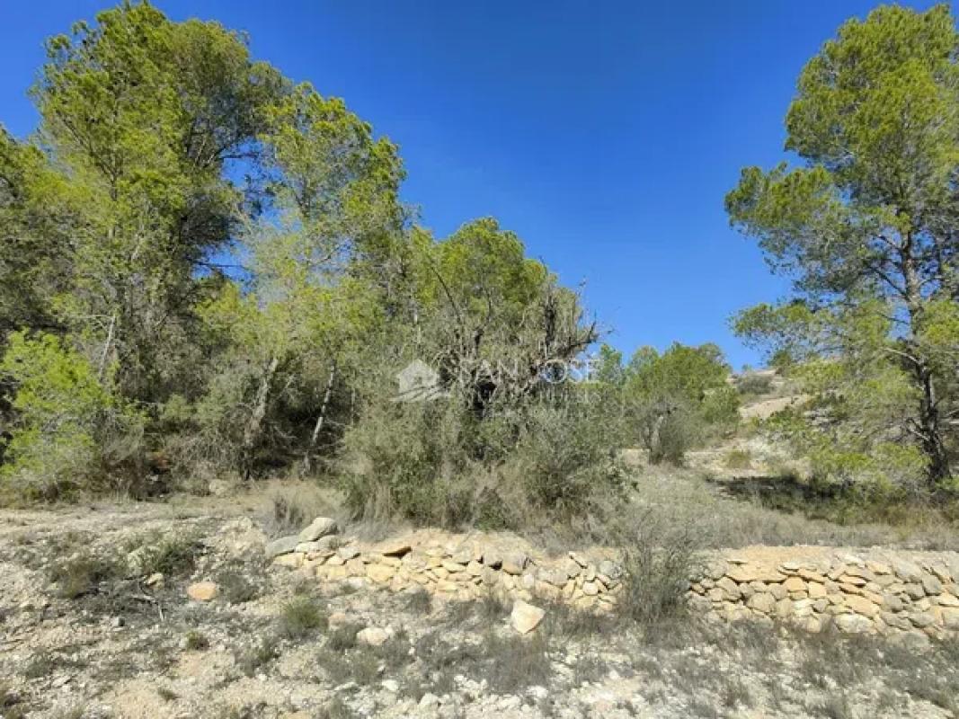 Terreno en venta en La Romana, Alicante photo 4
