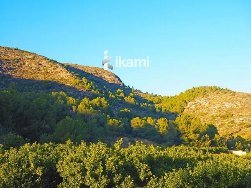 Terreno en venta en Pego, Alicante photo 1