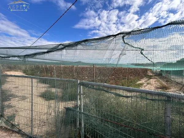 Terreno en Monforte del Cid photo 2