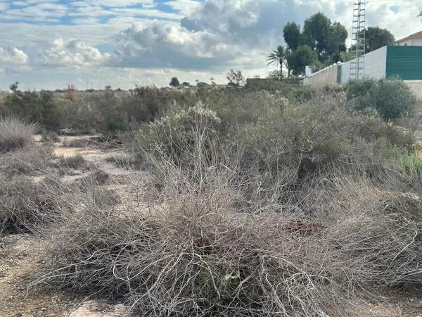 Terreno en La Marina photo 1