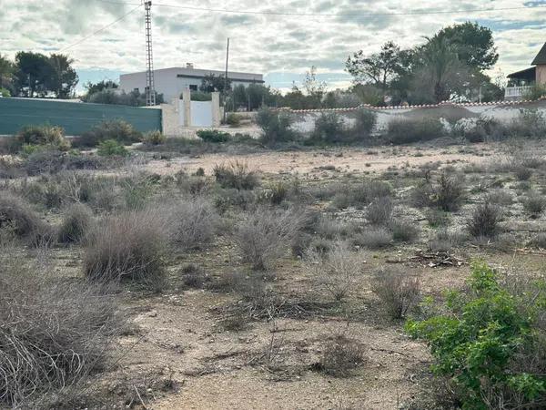 Terreno en La Marina photo 2