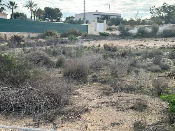 Terreno en La Marina photo 3