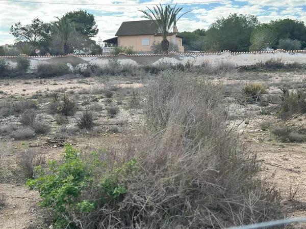 Terreno en La Marina photo 4