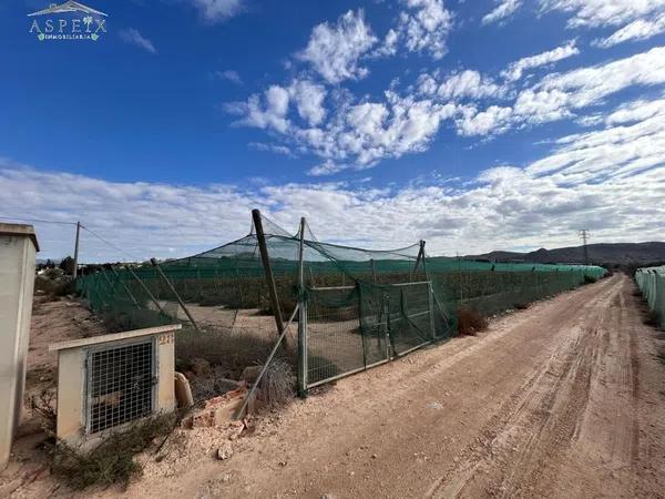 Terreno en Monforte del Cid photo 1
