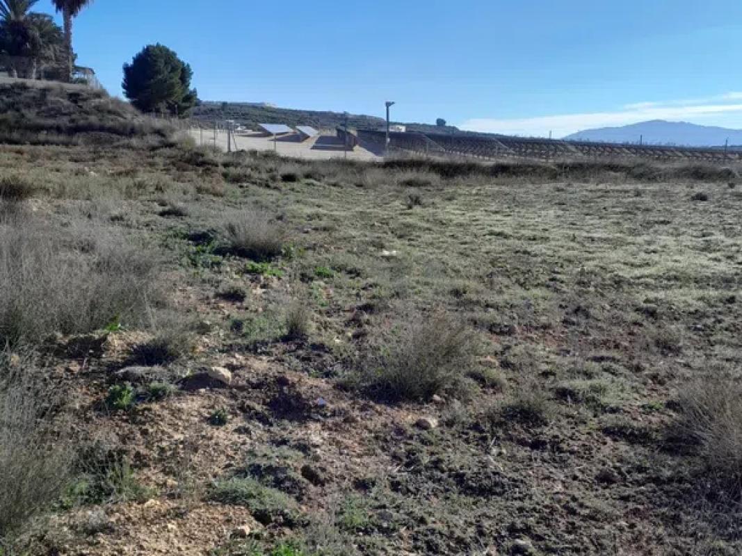 Terreno en venta en Pinoso, Alicante photo 2