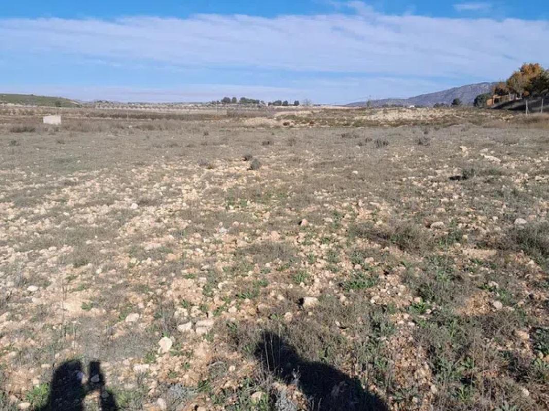 Terreno en venta en Pinoso, Alicante photo 3