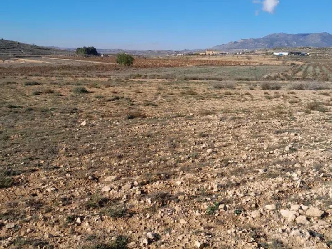 Terreno en venta en Pinoso, Alicante photo 4