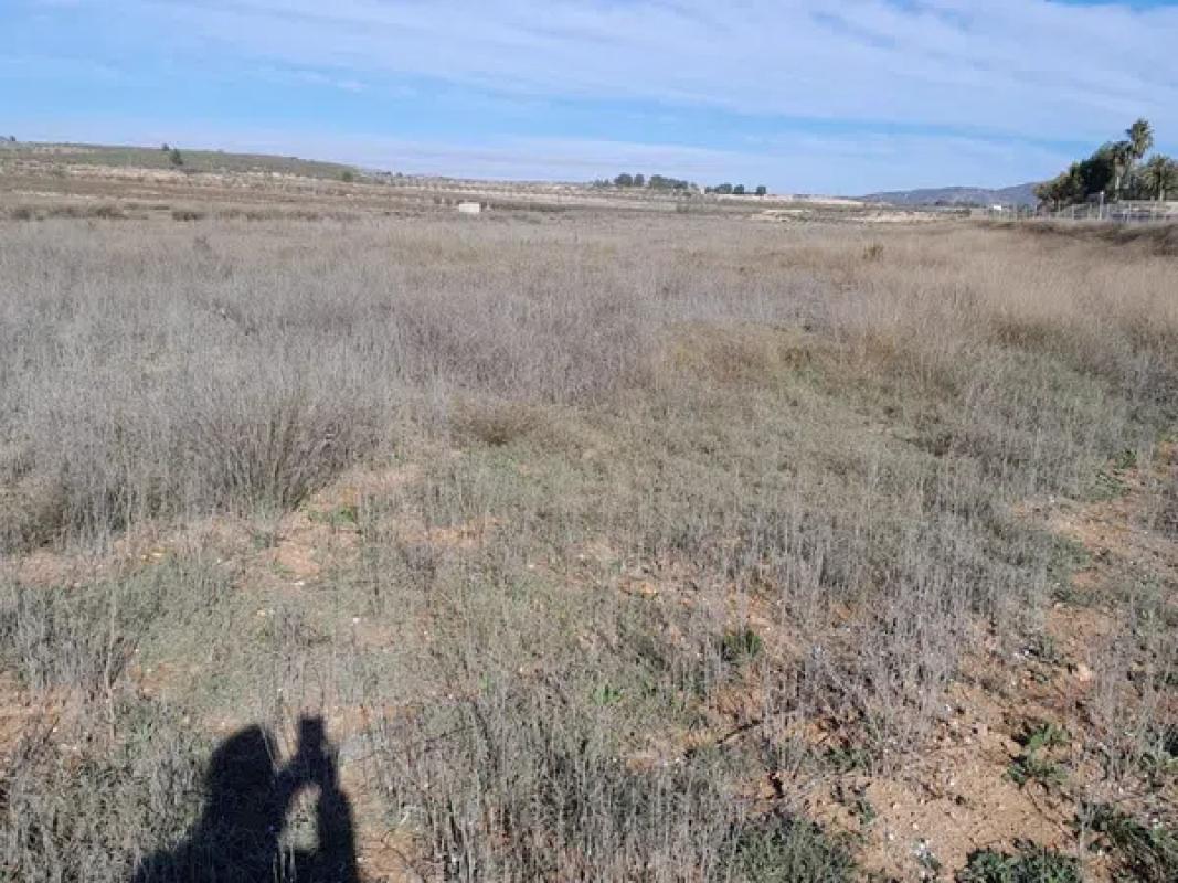 Terreno en venta en Pinoso, Alicante photo 5