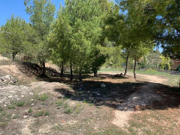 Terreno en Cocentaina photo 2